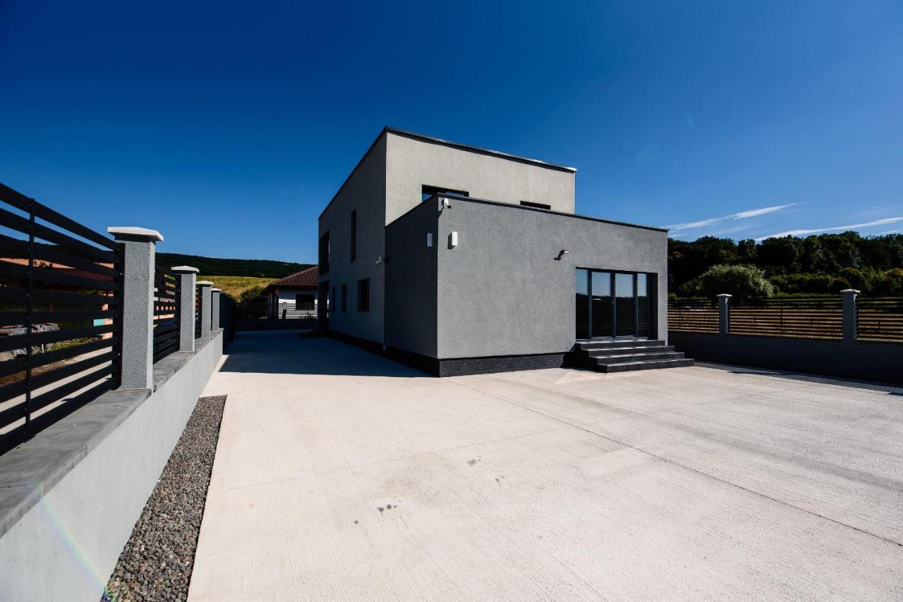 Concept Villa Livezeni  Eksteriør billede
